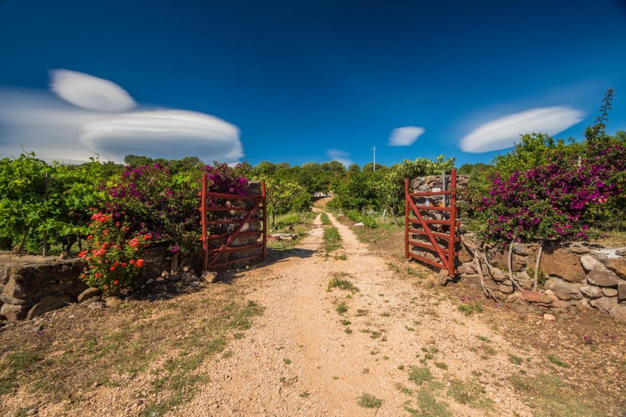 Sa Tanca 'E Pedduzza Villa โอโรเซย ภายนอก รูปภาพ