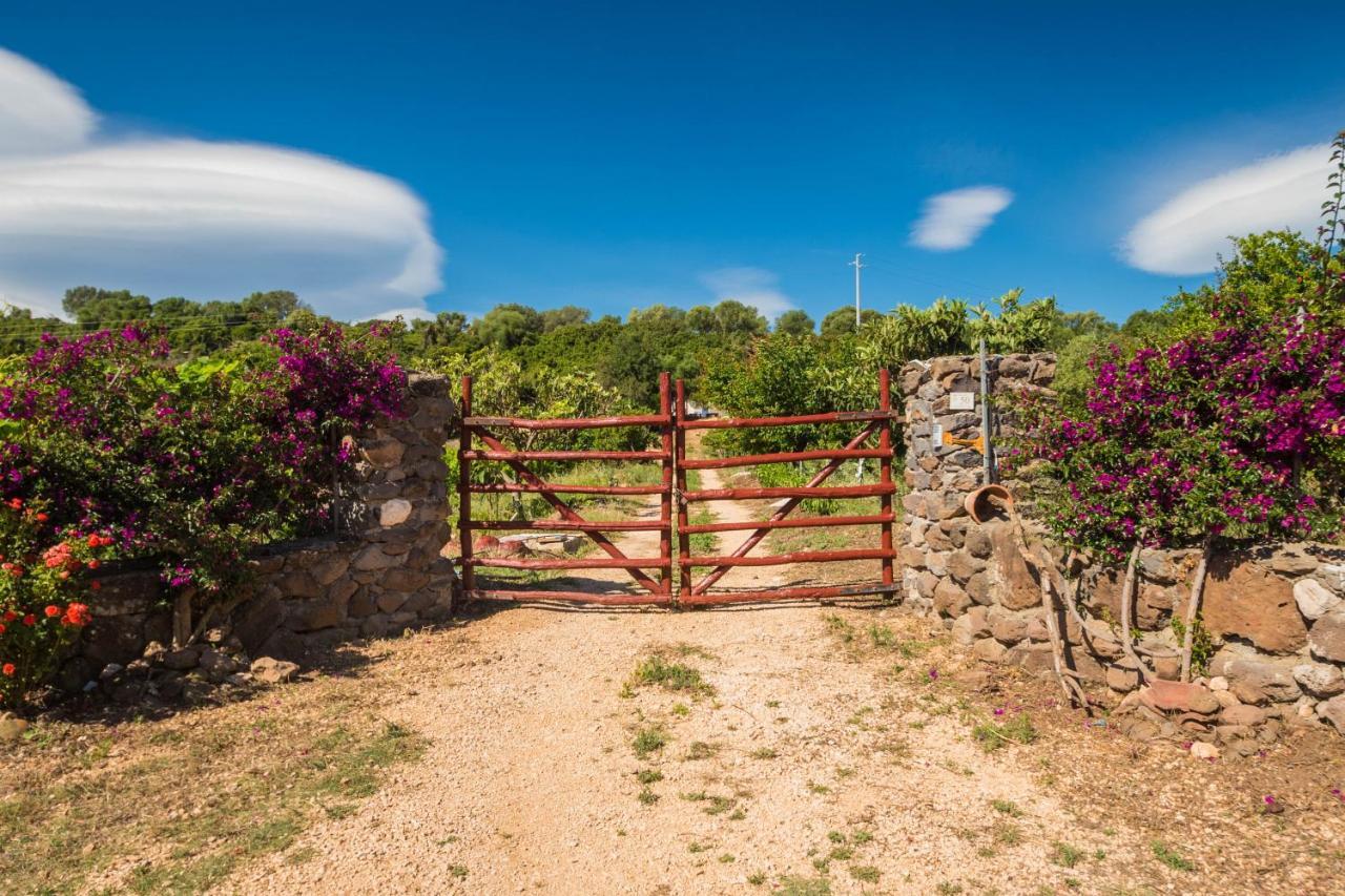 Sa Tanca 'E Pedduzza Villa โอโรเซย ภายนอก รูปภาพ