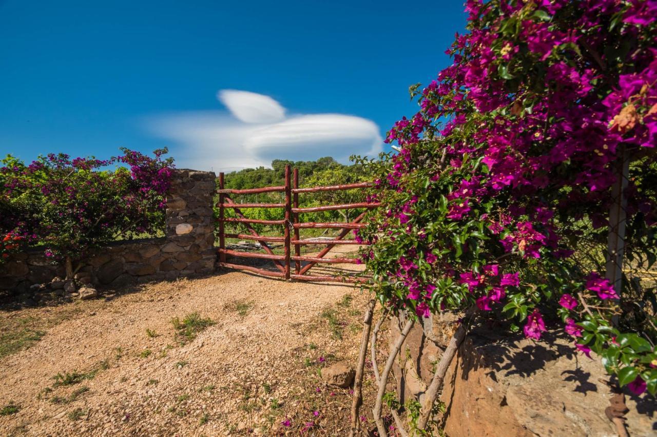 Sa Tanca 'E Pedduzza Villa โอโรเซย ภายนอก รูปภาพ